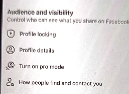 The Audience and visibility section of Facebook’s Settings & privacy on iPhone, listing Profile locking, Profile details, Turn on pro mode, and How people find and contact you.